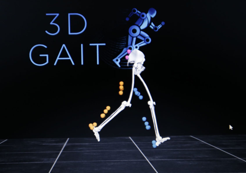 plug in gait full body visual 3d